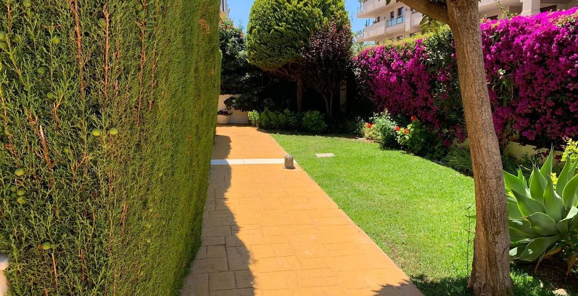 Apartment close to the beach and San Pedro Promenade