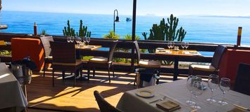 Apartment for Rent in Estepona