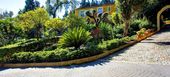 San Pedro La Quinta